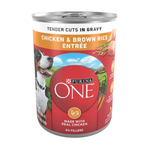 Purina ONE Tender Cuts In Wet Dog Food Gravy Chicken
